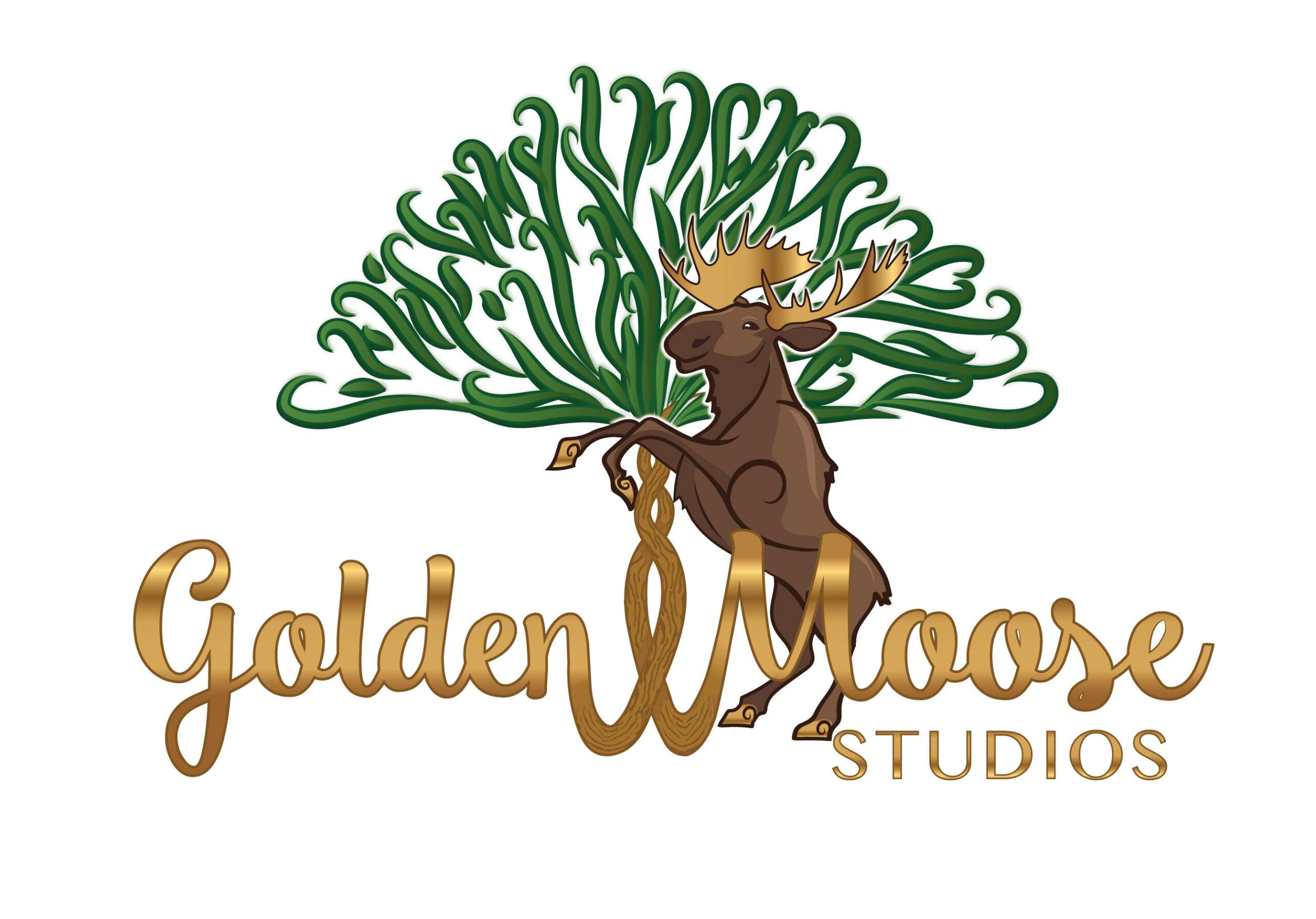 Featured image for My Path to Co-Founding Independent Video Game Studio, Golden Moose Studios
